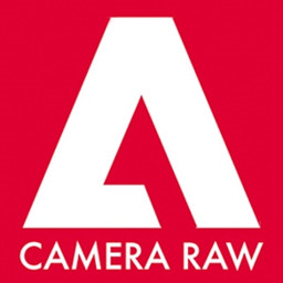 Adobe Camera Raw v17.3.1