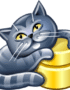 AnySQL Maestro Professional 16.12.0.10