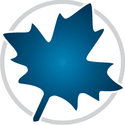 Maplesoft Maple v2024.2